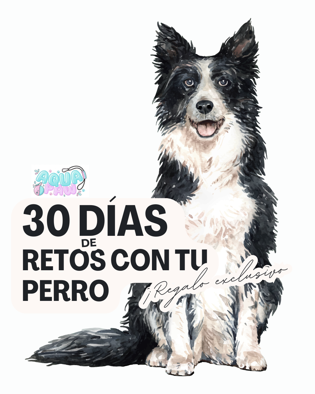 30 días de retos con tu perro