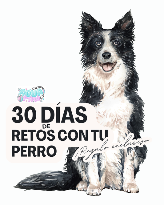 30 días de retos con tu perro